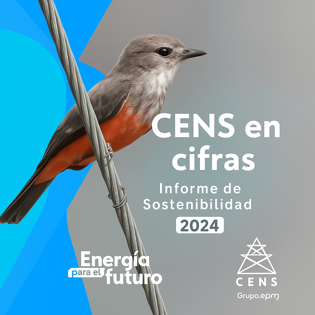 cens en cifras